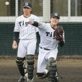 阪神　坂本に続く２、３番手争いし烈　“３５歳の新入生”伏見の存在感、育成・嶋村は打撃で猛アピ【担当記者総括・捕手】