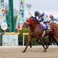 【佐賀・たんぽぽ賞】JRA馬敗れ3連単206万超の波乱！アッシュアールVで佐賀所属馬ワンツー