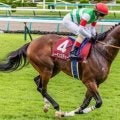 【中山記念】史上2頭目の偉業に挑戦 レーベンスティールが4年連続GII制覇なるか