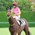 【注目馬動向】宮本厩舎の期待馬エチゴドラゴンは幸英明騎手との初コンビで若葉Ｓへ　宮本調教師「皐月賞への権利を取りたい」