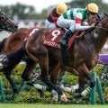 【中山記念出走馬・騎手確定】レーベンスティール＆戸崎圭太騎手、エコロヴァルツ＆横山武史騎手など14頭
