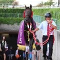 今週ラストの佐々木調教師にＪＲＡ全１０場重賞Ｖもたらしたインプレスが競走馬登録抹消　昨夏の新潟ジャンプＳ制覇　