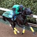 【中山記念】“鉄人”幸騎手と３戦ぶりコンビ復活！セイウンハーデスは加速スムーズ　橋口調教師「しまいは楽にいい時計」