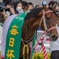 【オーシャンS】C.ルメール騎手が3年ぶりのスプリント重賞制覇なるか 初騎乗のファンダムで参戦