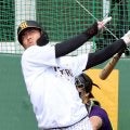 阪神・ドラ２谷端　３・３侍ジャパン戦「感じたい」出場意欲　将来的代表入りへ「しっかり目に焼き付けて」