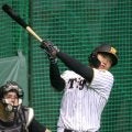 【阪神】藤川監督MVPの１人・嶋村麟士朗が侍との対戦に意欲「その時が来たら楽しくやりたい」