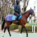 【中山記念】ルメール騎手とコンビ復活のチェルヴィニアは４枠６番　実績馬レーベンスティールは４枠５番