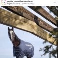 「大谷に負けない」「強打者」２００３年ダービー馬の暴れっぷりにネット騒然　タニノギムレットが牧柵を連続破壊！