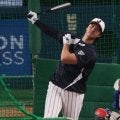 大谷翔平、衝撃の11/28　フリー打撃で快音連発…侍メンバー、中日勢も見つめる中、メジャー組が競演