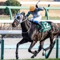 中山芝は逃げ先行馬を狙え オーシャンSはペアポルックスが波乱呼ぶ
