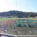 宮崎県のプロ野球春季キャンプ事情