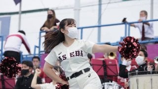 帝京大学 ラグビー ヤッケ 上下 （帝京大学ラグビー部 薄手