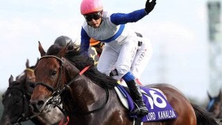 仏のセリに“異色のロードカナロア産駒”が上場！ 豪華面々揃う  