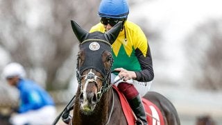 タイトルホルダー ジャンパー ブルゾン 競馬 菊花賞 ウマ娘 JRA タイトルホルダー ジャンパー ブルゾン 競馬 菊花賞 ウマ娘 JRA