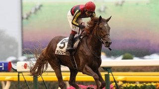 ノーザンホースパーク競馬 オルフェーヴル、キタサンブラック、コン