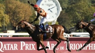 【貴重】　2023凱旋門賞馬　エースインパクト　C・デムーロ騎手直筆サインパネル sddefault.jpg