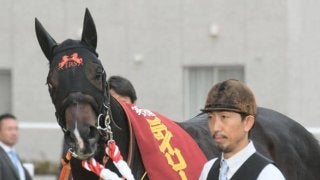 朝日杯FS想定】ジャンタルマンタル、セットアップなど12頭