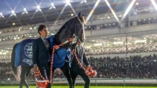 ディープインパクト、イクイノックス イクイノックスとディープインパクト/島田明宏 | その他競技
