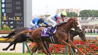 4億4千万円の片棒を担いだブービー人気テンハッピーローズ、世紀の“一