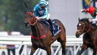 香港カップ結果】ロマンチックウォリアーが史上初の3連覇達成