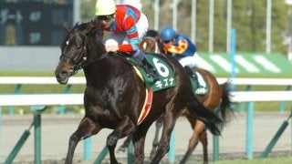 キズナ キャップ 2024年リーディングサイアー キズナ キャップ 2024年リーディングサイアー