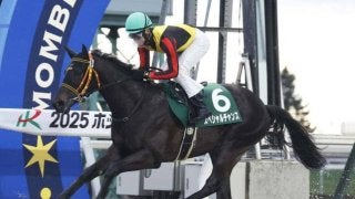 サトノダイヤモンド 新馬戦〜天皇賞・春２歳から４歳国内全１０戦現地単勝馬券セット 4歳以上次走報】サトノグランツは天皇賞・春へ - サンスポZBAT!