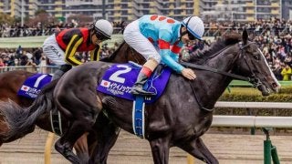 セレクトセール2025】初登場のイクイノックス産駒は億超え11頭 最高額