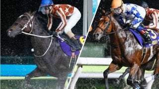 JpnI・2着馬」と「JpnI・3着馬」 地方3歳の“2強”が今夜川崎で激突