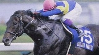 ダイタクヤマト 00年 スプリンターズS 16番人気 的中単勝馬券 全頭セット