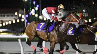 ブリーダーズカップ2025】JRA所属馬7頭が予備登録…フォーエバーヤング