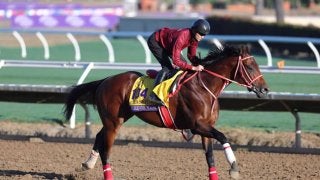 BCクラシック枠順】いざ世界制覇へ！フォーエバーヤングは5番ゲート