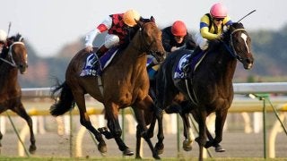 ジャパンカップ外国馬の現地購入馬券 現地購入20年振り外国馬の勝利馬券ジャパンカップ☆カランダガン単勝