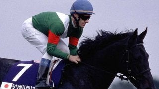 【現地・単勝的中】シンボリクリスエス 【天皇賞・秋連覇！】 02、03年天皇賞・秋、有馬記念を連覇したシンボリクリスエス種牡馬