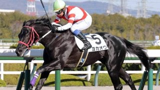 阪神7R・2歳未勝利】アイドルホース・ヨカヨカの初子ヨカオウが初
