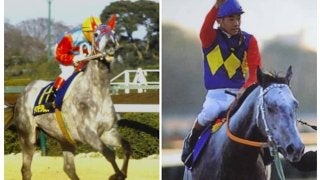 オグリキャップvsタマモクロス 芦毛の両横綱が88年有馬記念でみたび