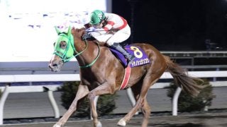 高知・金の鞍賞】トサノシュジンコウが惜敗続きに終止符 | その他競技