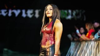 人気女子レスラーの関節トリックが話題