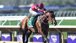 今週末は「フォーエバーヤング ブリーダーズカップクラシック優勝記念